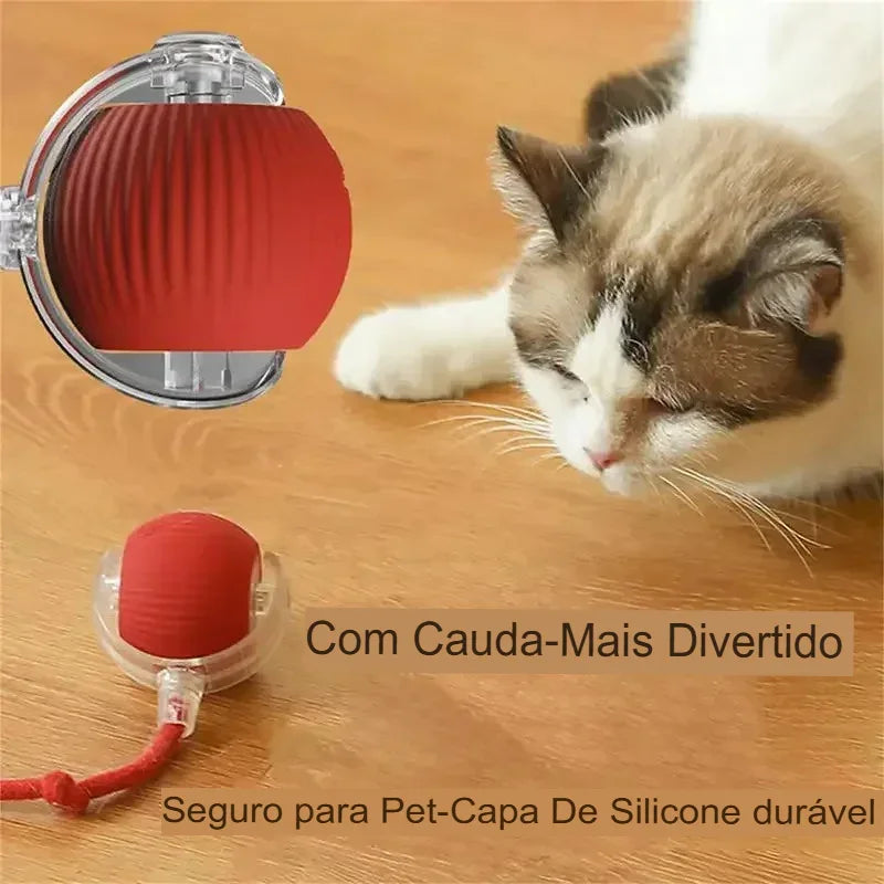 Brinquedo Interativo Automático para Gatos – Bola Recarregável com Cauda Simulada