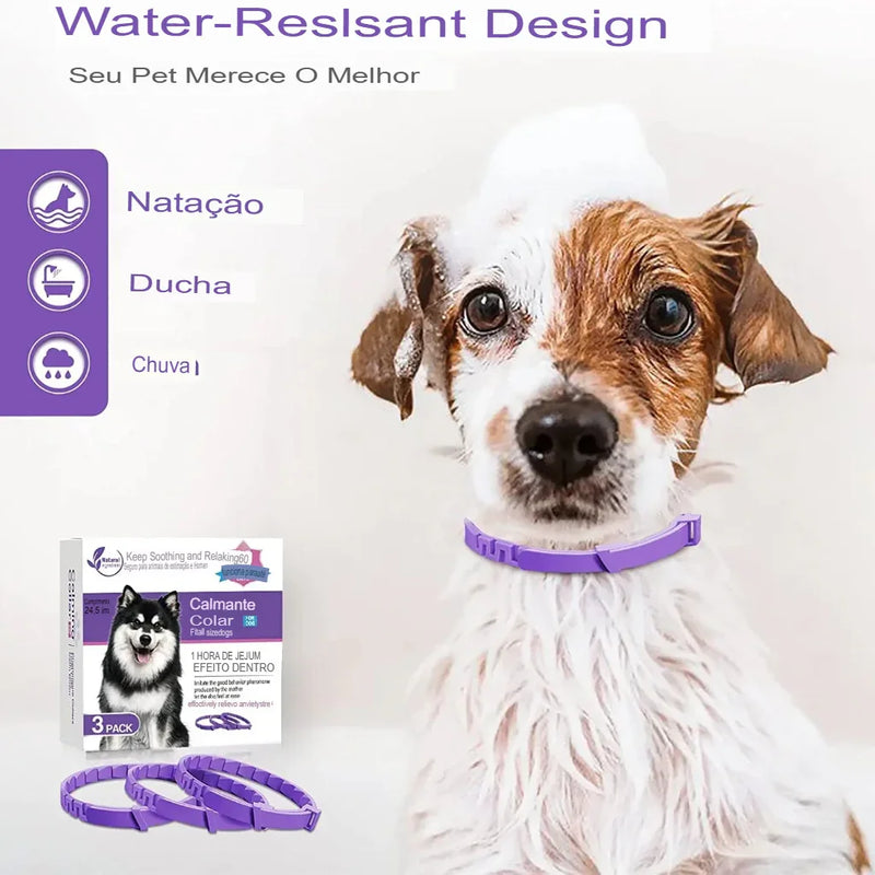 Coleira Calmante para Pets – Tranquilidade Natural para Cães e Gatos