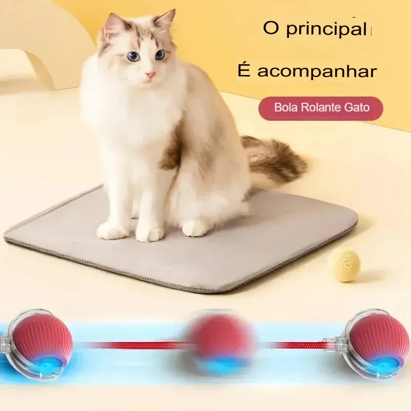 Brinquedo Interativo Automático para Gatos – Bola Recarregável com Cauda Simulada
